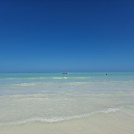 Luna Y Sol Glamping Holbox Eksteriør bilde