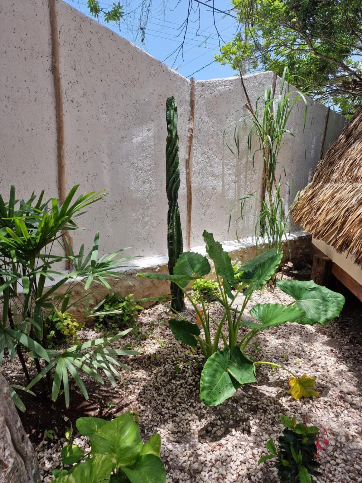 Luna Y Sol Glamping Holbox Eksteriør bilde