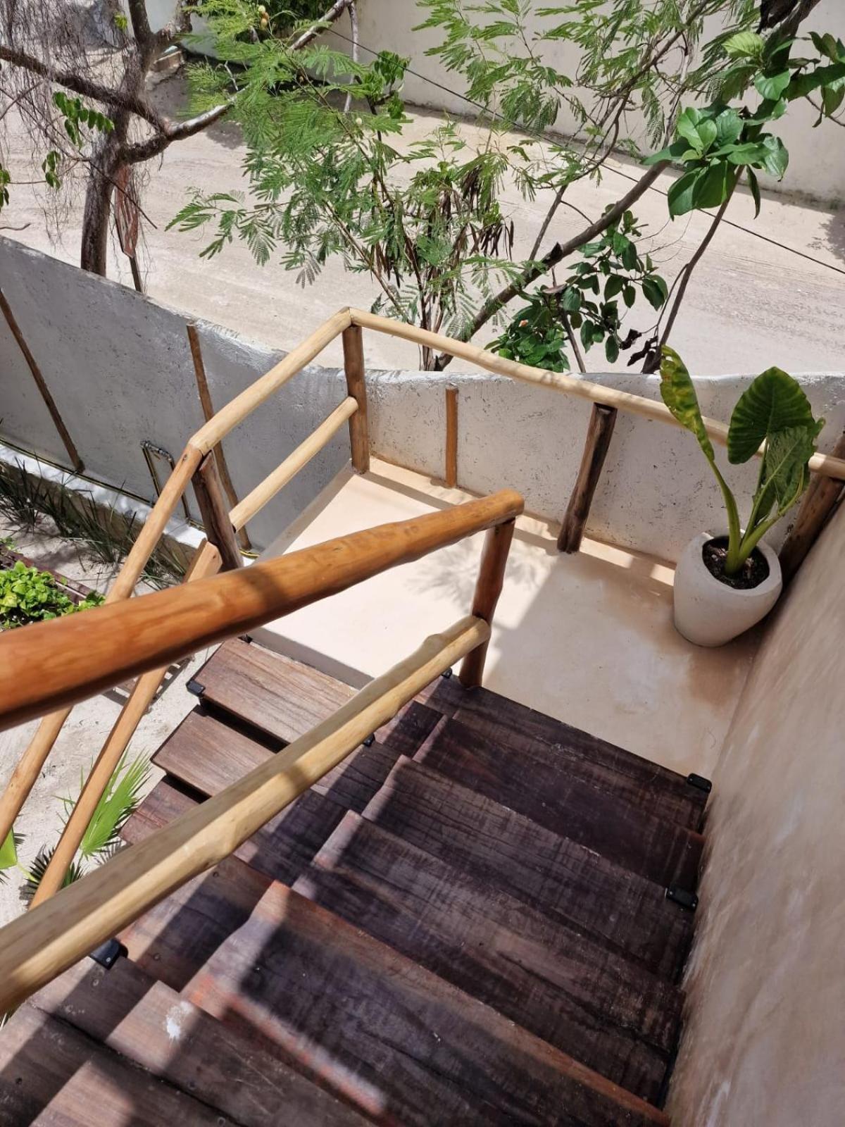 Luna Y Sol Glamping Holbox Eksteriør bilde